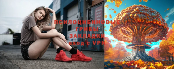 spice Лагань
