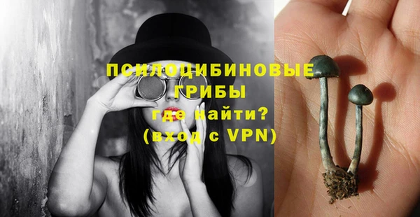 амф Лабытнанги