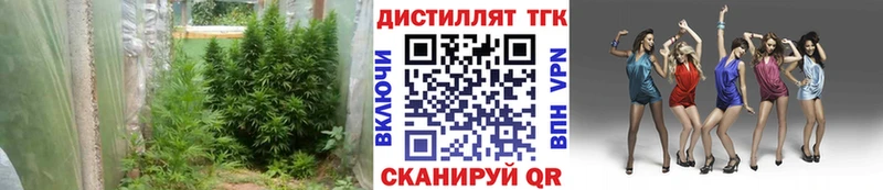 ТГК концентрат  Купить закладки  Сосновоборск 
