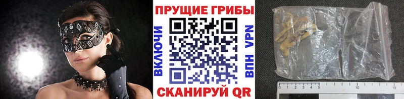 Купить  Сосновоборск  Псилоцибиновые грибы Psilocybe 